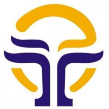 Логотип — ДНІПРОВСЬКИЙ ТЕХНОЛОГО-ЕКОНОМІЧНИЙ КОЛЕДЖ, ДЕРЖАВНИЙ НАВЧАЛЬНИЙ ЗАКЛАД