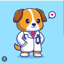 Логотип — ВОЛОДИМИРСЬКА РАЙОННА ДЕРЖАВНА ЛІКАРНЯ ВЕТЕРИНАРНОЇ МЕДИЦИНИ