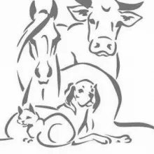 Логотип — УМАНСЬКА РАЙОННА ДЕРЖАВНА ЛІКАРНЯ ВЕТЕРИНАРНОЇ МЕДИЦИНИ