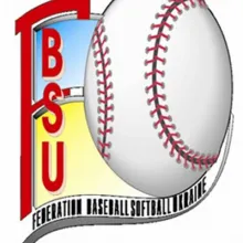 FEDERATION OF BASEBALL AND SOFTBALL OF UKRAINE logo (EDRPOU 21602660)
