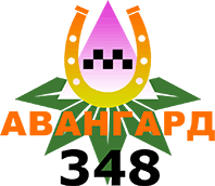 АВАНГАРД ТАКСІ 348 (КИЇВ-ОДЕСА)