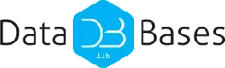 DATABASES LAB, ИНТЕРНЕТ-КОМПАНИЯ