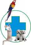 Логотип — ZOOVIT, VETERINARY CLINICS