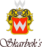 Логотип — БРЕЗИЦКА ХРИСТИНА БОГДАНОВНА, ФЛ-П