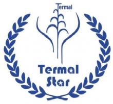 Логотип — TERMAL-STAR, LLC