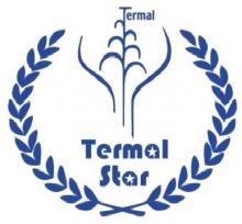 Логотип — ТЕРМАЛ-СТАР, САНАТОРІЙ