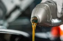 FAVORYT OIL, COMPANY logo (EDRPOU 38130452)