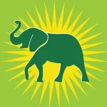 ЗЕЛЕНИЙ СЛОН 7, ПАСАЖИРСЬКІ ПЕРЕВЕЗЕННЯ логотип (ЄДРПОУ 38502690)