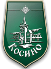 Логотип — ТЕРМАЛЬНІ ВОДИ КОСИНО