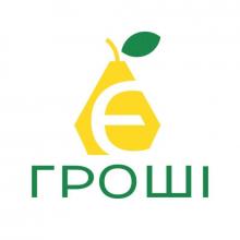 Логотип — Є ГРОШІ, ФІНАНСОВА КОМПАНІЯ