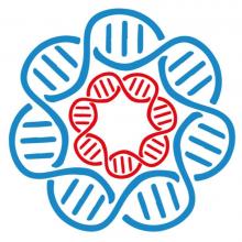 Логотип — ПАНАКЕЯ, ДІАГНОСТИЧНИЙ ЦЕНТР