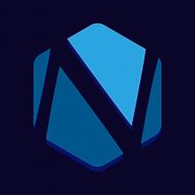 Логотип — NETFRAME, LTD
