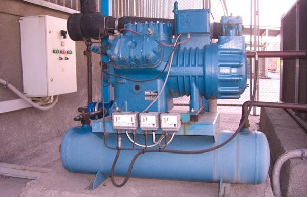 Cold storage services