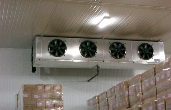 Industrial premises for rent