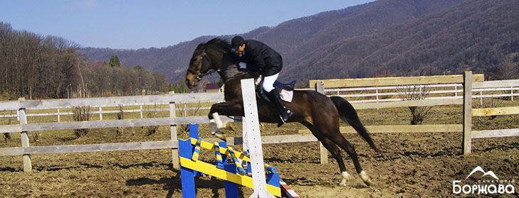 Hippotherapy and riding