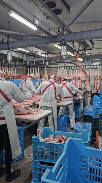 Wholesale of offal