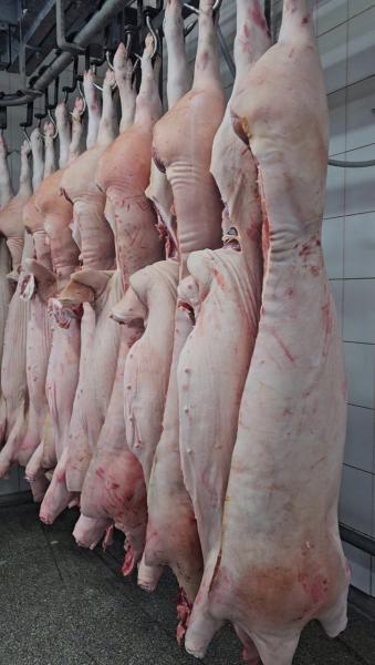 Pork wholesale