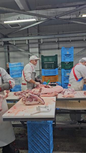 Meat of slaughtered animals