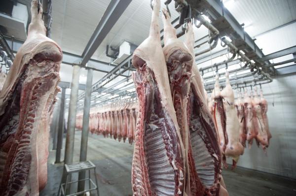 Wholesale of meat
