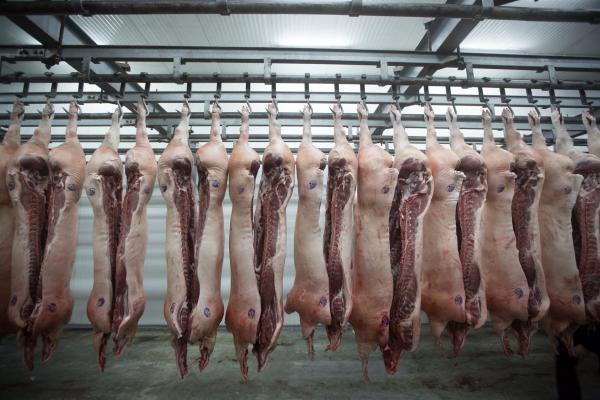 Buy pork in elements