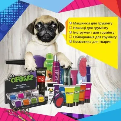 Photo GROOMER Zaporizhzhya (EDRPOU 4000000176) GROOMER photo (EDRPOU 4000000176)