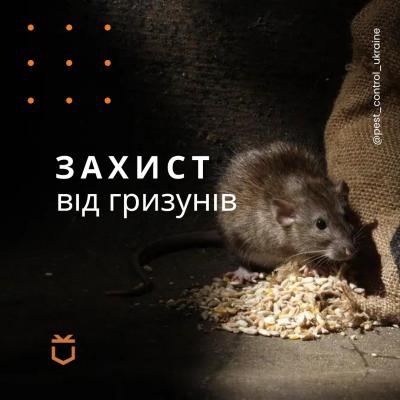 Захист від гризунів