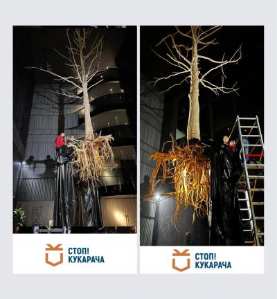 Підготовка об‘єкта перед обробкою деревини від жука ”Короїда”