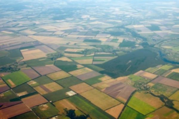 DELIMITATION OF PLOTS DELIMITATION OF PLOTS