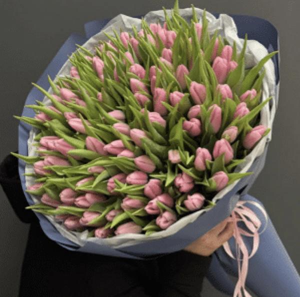 101 PINK TULIPS 101 PINK TULIPS