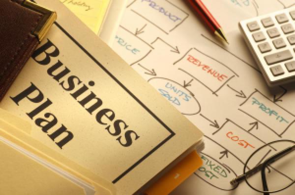 DEVELOPING A BUSINESS PLAN
