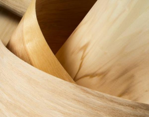 PEELED HARDWOOD VENEER PEELED HARDWOOD VENEER