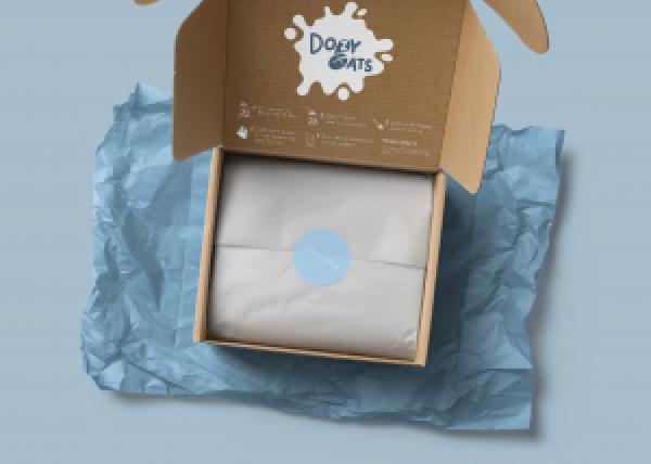 PACKAGING DESIGN DEVELOPMENT PACKAGING DESIGN DEVELOPMENT