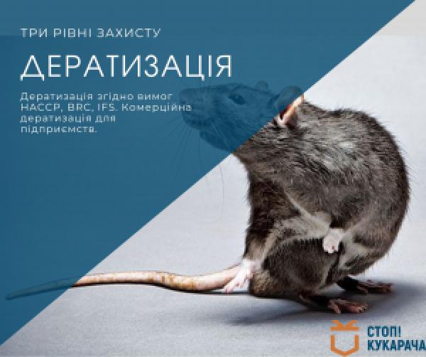 DERATIZATION (FIGHT AGAINST MICE AND RATS) DERATIZATION (FIGHT AGAINST MICE AND RATS)