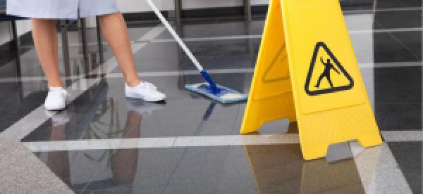 PROFESSIONAL CLEANING OF FOOD ESTABLISHMENTS PROFESSIONAL CLEANING OF FOOD ESTABLISHMENTS