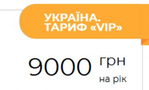 INTERNET ADVERTISING TARIFF ”VIP”