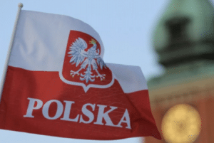 TRANSLATION OF TEXTS INTO POLISH