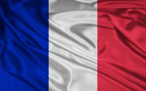 TRANSLATION OF TEXTS INTO FRENCH