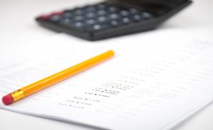 LEGAL AUDIT OF LEGAL AND OFFICIAL ISSUES