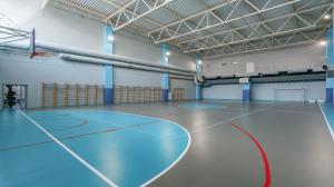 SPORTS LINOLEUM TARKETT OMNISPORTS V35