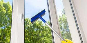 PROFESSIONAL WINDOW CLEANING