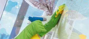 PROFESSIONAL CLEANING OF EDUCATIONAL INSTITUTIONS