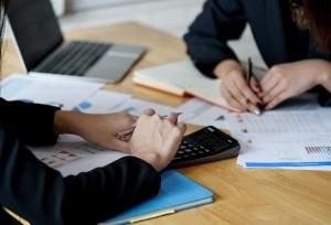 INTERNATIONAL BUSINESS STRUCTURING