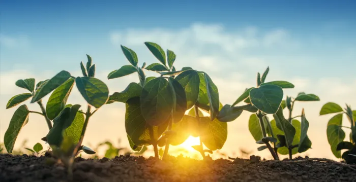 How to save on agricultural purchases