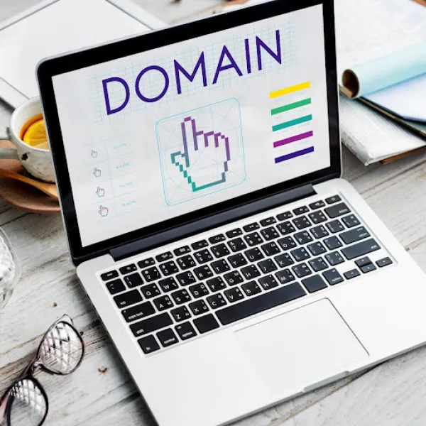 A Complete Guide to Choosing and Registering a Domain with QHost