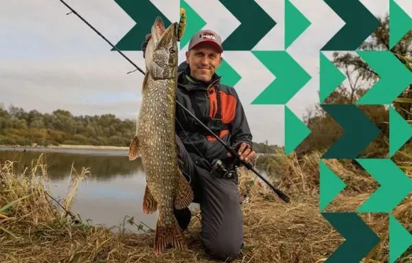 ibis риболовля