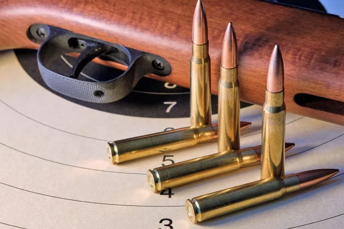 Hunting Cartridges: How to Choose Ammunition for Different Shooting Tasks