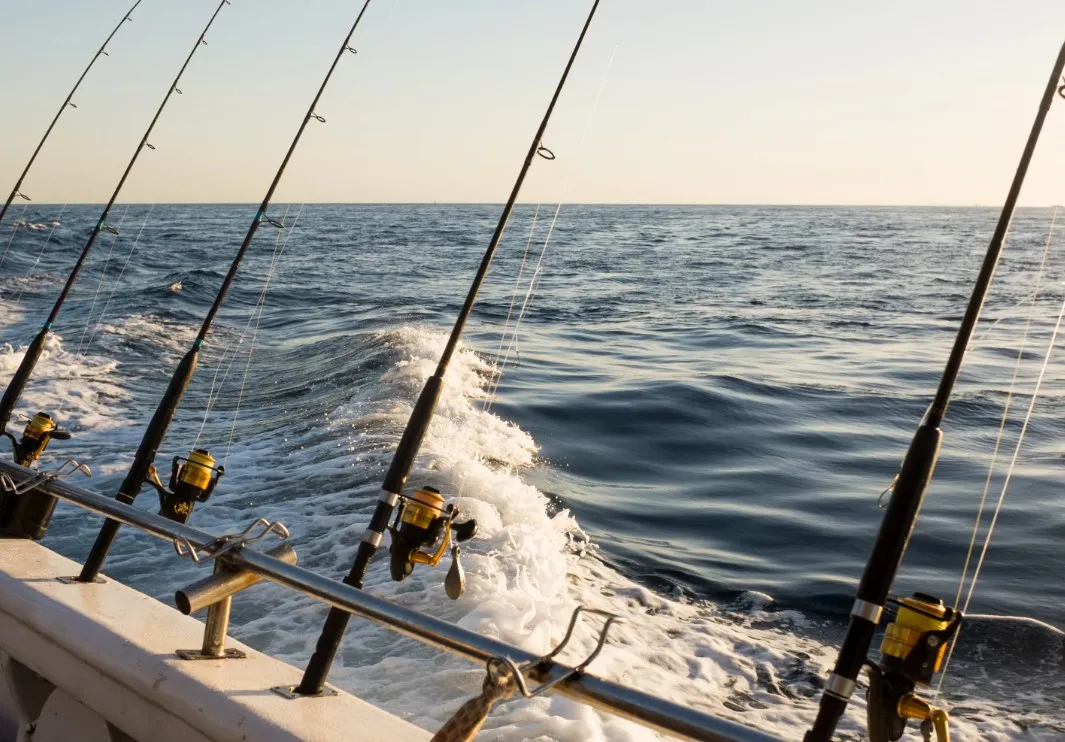 Enterprises: Sea fishing