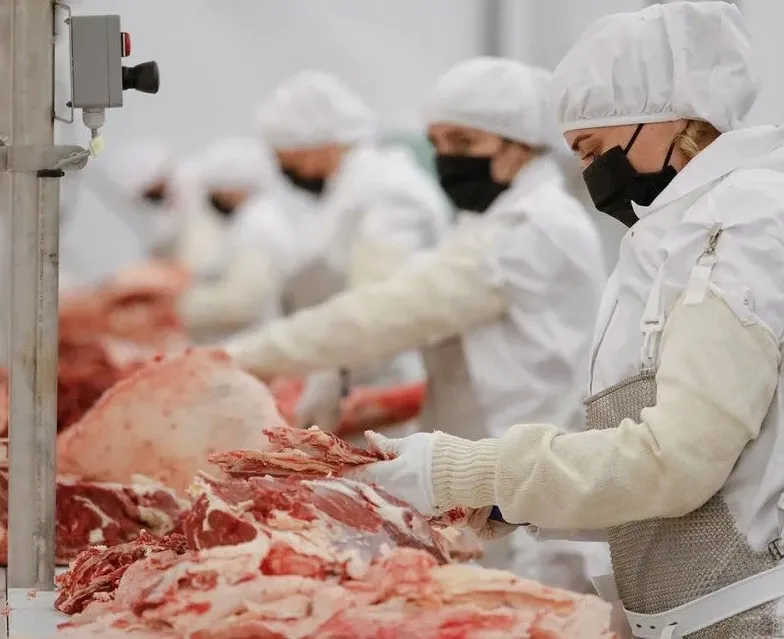 Enterprises: Meat production